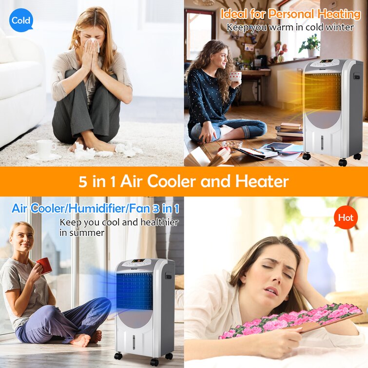 Air cooler and sales heater